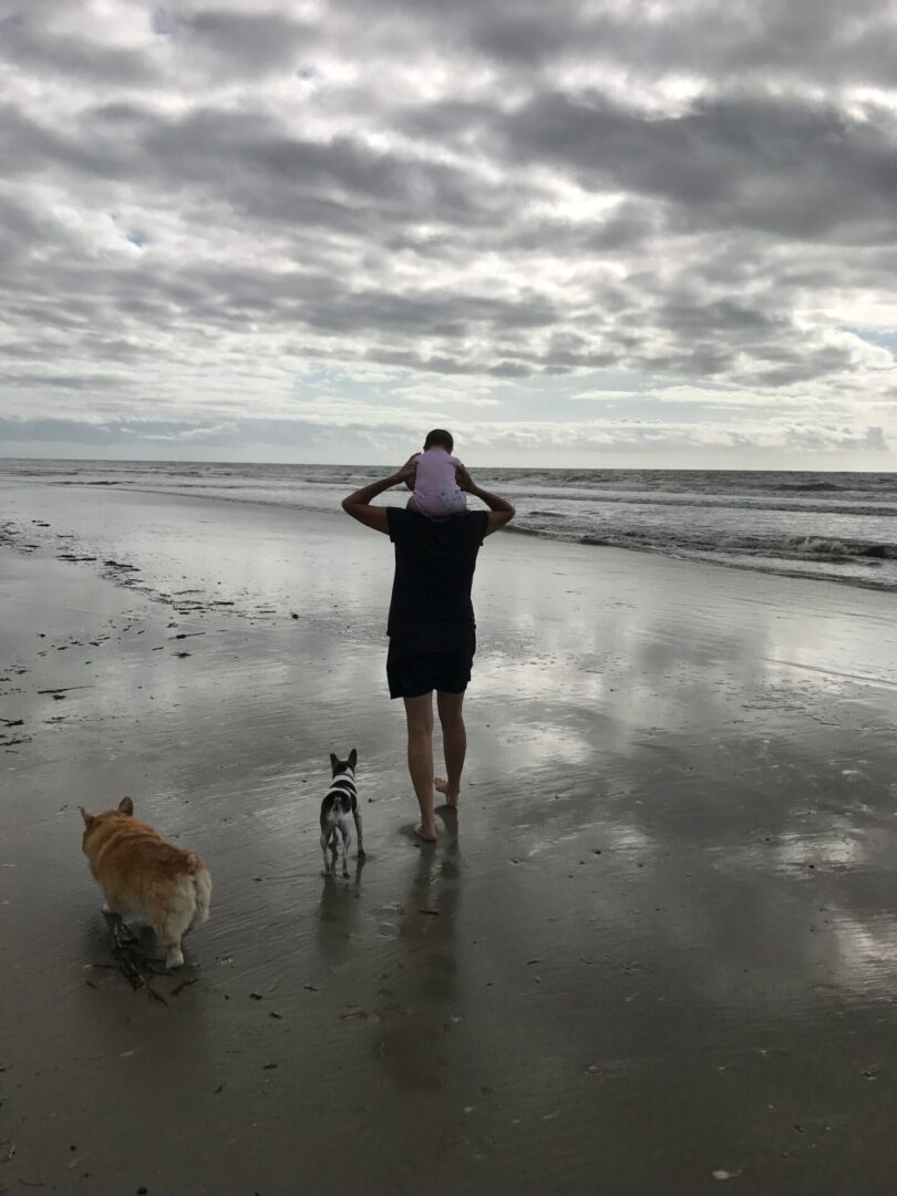 A man carrying his son while walking on the beach with their dogs